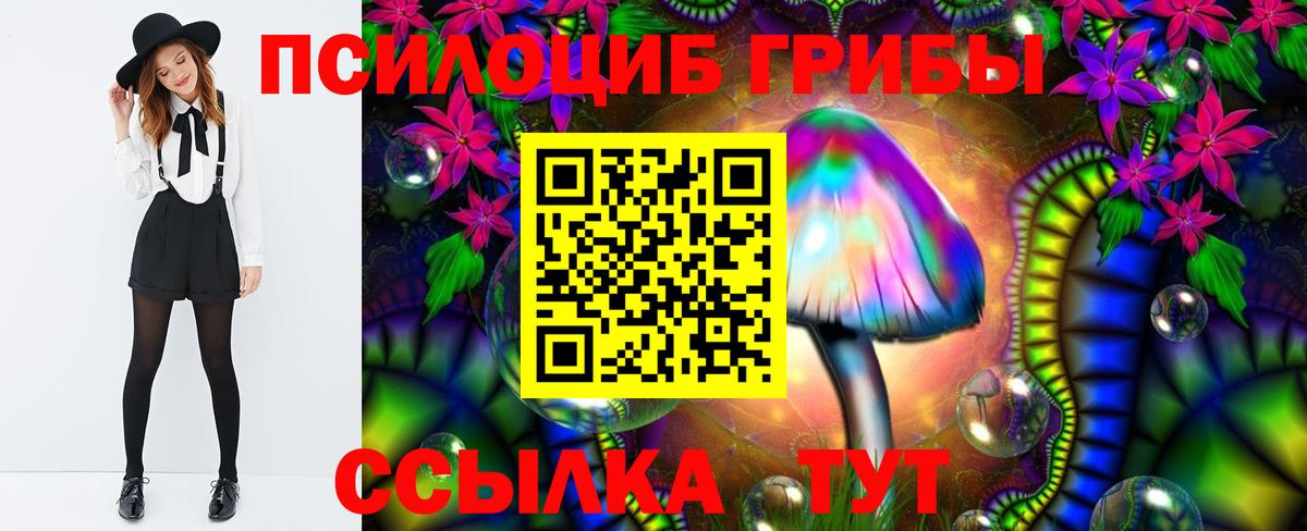 где можно купить наркотик  Вход с VPN  Советский  Галлюциногенные грибы Psilocybe 