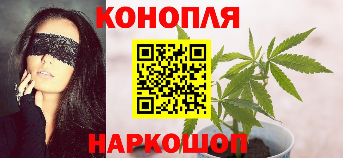 МАРИХУАНА сатива  Вход с VPN  Бошки марихуана марихуана  Советский  Канабис индика 